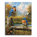 Zestaw Redbreast - Malowanie po numerach - Cheerful Painting
