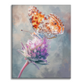 Zestaw Motyl z kroplami rosy - Malowanie po numerach - Cheerful Painting