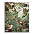 Zestaw Koliber Trochilidae - Malowanie po numerach - Cheerful Painting