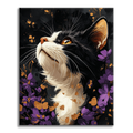 Zestaw Selkirk Rex - Malowanie po Numerach - Cheerful Painting