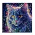 Zestaw Magic Kitten - Malowanie po numerach - Cheerful Painting