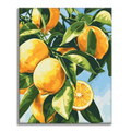 Zestaw Gałązka cytrynowa – malowanie po numerach - Cheerful Painting