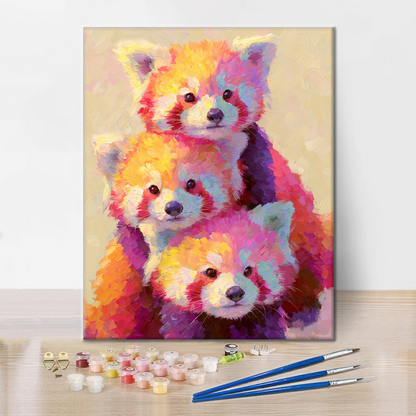 Raccoon Stack – Malowanie po numerach