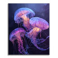 Zestaw Marzycielska Meduza – Malowanie po numerach - Cheerful Painting