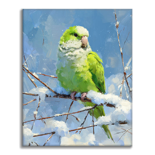 Papuga - Malowanie po numerach