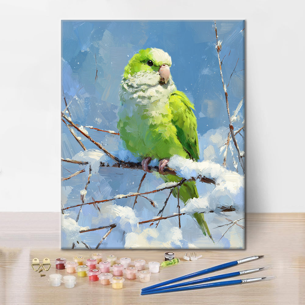 Papuga - Malowanie po numerach