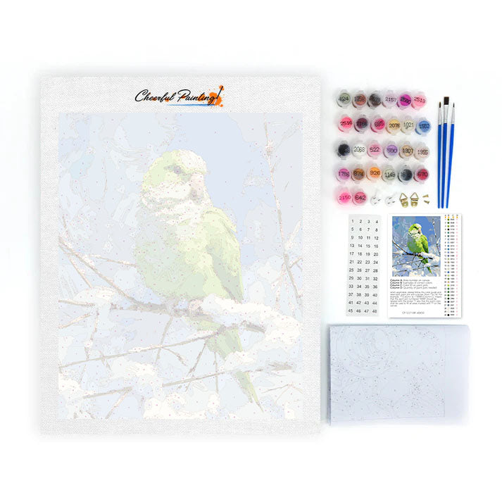 Papuga - Malowanie po numerach